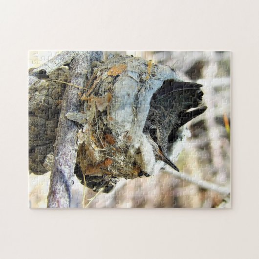 Baby Hummingbird im Nest Frühjahr 2020 Jigsaw Puzz Puzzle (Horizontal)