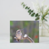 Baby Hummingbird Postkarte (Stehend Vorderseite)