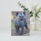 Baby Hyena Postcard Postkarte (Stehend Vorderseite)