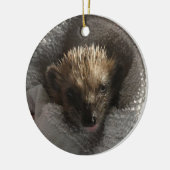 Baby Igel auf Blanket-Ornament Keramik Ornament (Links)