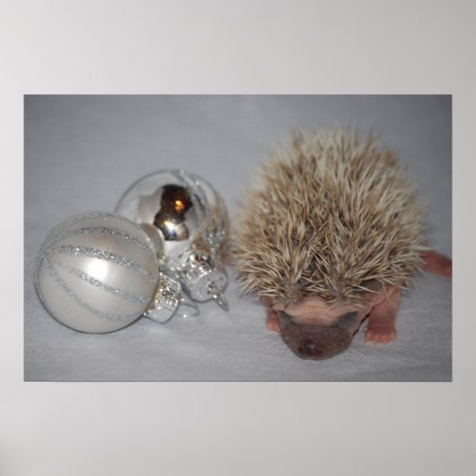 Baby Igel mit Weihnachtsdekor-Plakat Poster (Vorne)