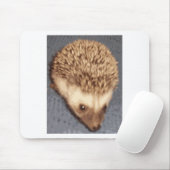 Baby-Igel Mousepad (Mit Mouse)