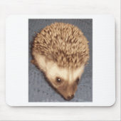 Baby-Igel Mousepad (Vorne)