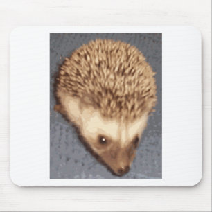 Baby-Igel Mousepad
