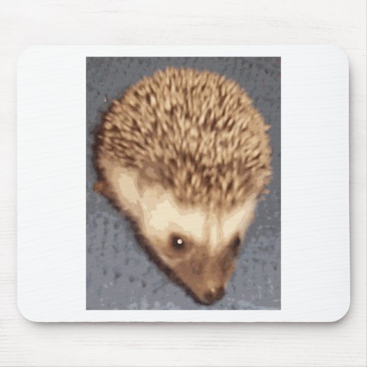 Baby-Igel Mousepad (Vorne)