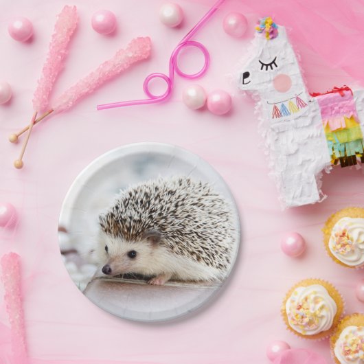 Baby Igel Pappteller (Party)