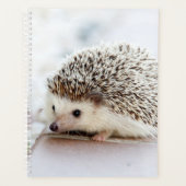 Baby Igel Planer (Vorderseite)