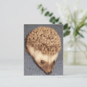 Baby Igel Postkarte (Stehend Vorderseite)