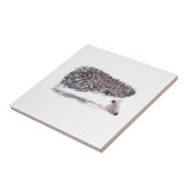 Baby Igel rustikale Vintage Küche Woodland Fliese (Seite)