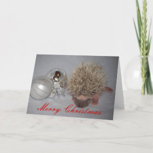 Baby Igel Weihnachtskarte Feiertagskarte