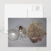 Baby Igel Weihnachtskarte Feiertagspostkarte (Vorne/Hinten)