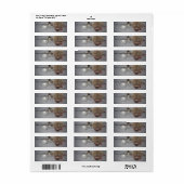 Baby Igel Weihnachtsschmuck Anschrift Labels (Vorne)