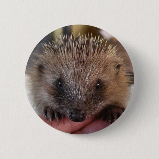 Baby-Igels-Knopf Button (Vorderseite)