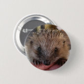 Baby-Igels-Knopf Button (Vorne & Hinten)