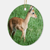 Baby Impala Keramik Ornament (Links)