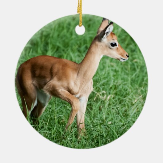 Baby Impala Keramik Ornament (Hinten)