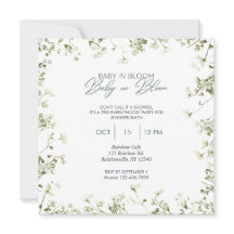 Baby in Bloom - Gipskraut - Grenze