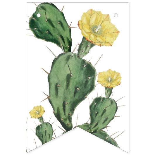 Baby in Bloom succuled Banner (Erste Fahne)