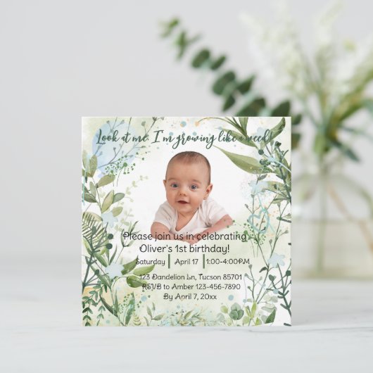 Baby ist 1. Geburtstag, schauen Sie mich an..., (Stehend Vorderseite)