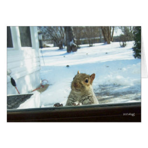 Baby ist es kalte Außenseite