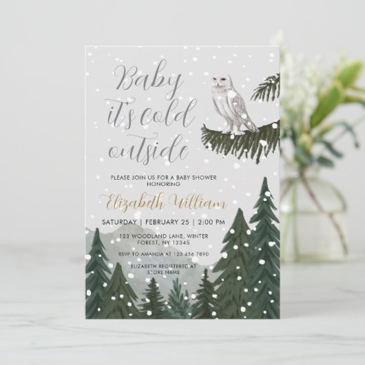 Baby It’s Cold Outside Snowy Owl Baby Shower Einladung (Stehend Vorderseite)