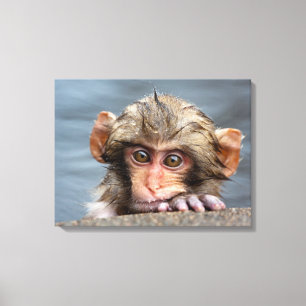 Baby Japanisch Macaque Jigokudani Yaen-Koen Leinwanddruck