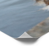 Baby Japanisch Macaque | Jigokudani Yaen-Koen Poster (Ecke)