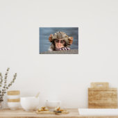 Baby Japanisch Macaque | Jigokudani Yaen-Koen Poster (Küche)