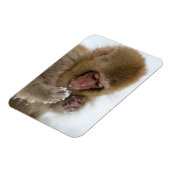 Baby Japanisch Macaque | Schneelaffe Magnet (Linke Seite)