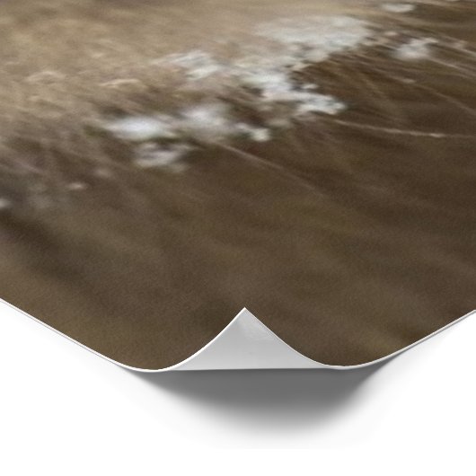 Baby Japanisch Macaque | Schneelaffe Poster (Ecke)