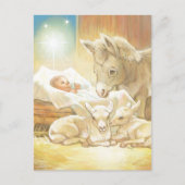 Baby Jesus Krippe mit Lämmern und Esel Postkarte (Vorderseite)