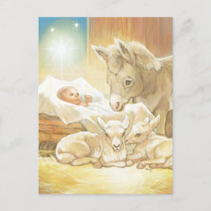 Baby Jesus Nativity with Lambs and Donkey Postkarte