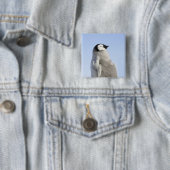 Baby Kaiser Pinguin, Insel Snow Hill Button (Beispiel)