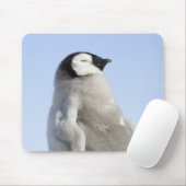 Baby Kaiser Pinguin, Insel Snow Hill Mousepad (Mit Mouse)