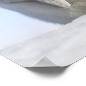 Baby Kaiser Pinguin, Insel Snow Hill Poster (Ecke)