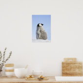 Baby Kaiser Pinguin, Insel Snow Hill Poster (Küche)