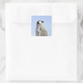 Baby Kaiser Pinguin, Insel Snow Hill Quadratischer Aufkleber (Tasche)