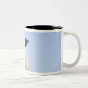 Baby-Kaiser-Pinguin, Schnee-Hügel-Insel Zweifarbige Tasse
