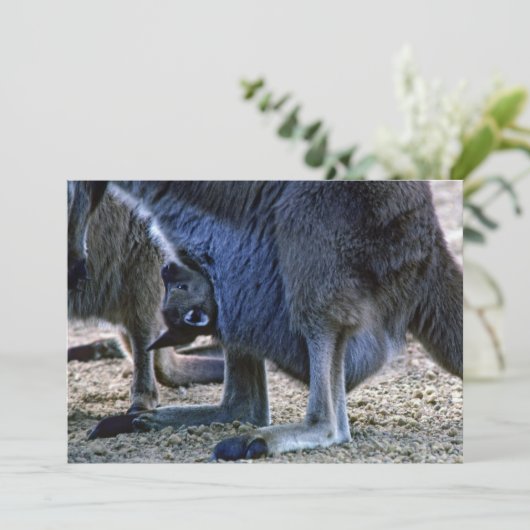 Baby Kangaroo in der Tüte der Mutter - Australien Einladung (Stehend Vorderseite)