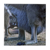 Baby Kangaroo in der Tüte der Mutter - Australien Fliese (Vorderseite)