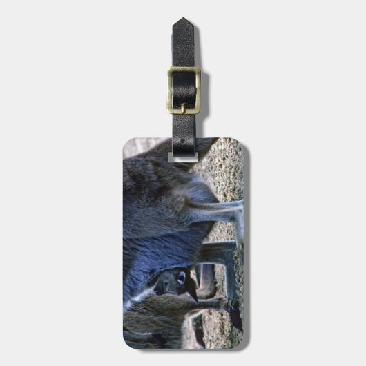 Baby Kangaroo in der Tüte der Mutter - Australien Gepäckanhänger (Vorderseite vertikal)