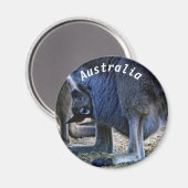 Baby Kangaroo in der Tüte der Mutter - Australien Magnet (Vorderseite/Rückseite)
