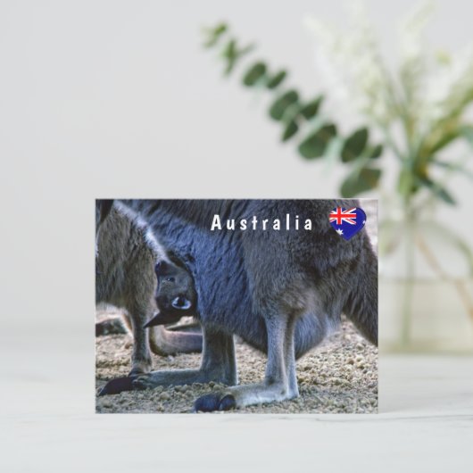 Baby Kangaroo in der Tüte der Mutter - Australien Postkarte (Stehend Vorderseite)