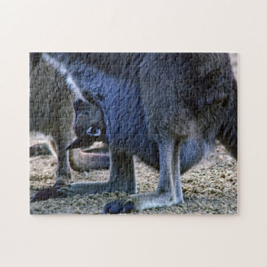 Baby kangaroo in mother's pouch - Australia Puzzle (Horizontal)