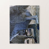 Baby kangaroo in mother's pouch - Australia Puzzle (Vertikal)