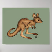 Baby Kangaroo/Joey auf grünem Hintergrund Poster (Vorne)