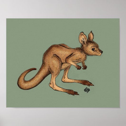 Baby Kangaroo/Joey auf grünem Hintergrund Poster (Vorne)