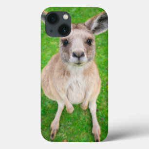 Baby-Känguru Getty Bild-  Case-Mate iPhone Hülle