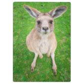 Baby-Känguru Getty Bild-| Klemmbrett (Rückseite)