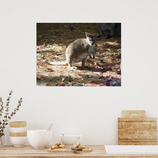 Baby Känguru Poster (Küche)